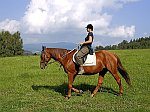 Прогулька на лошади по Чешскокрумловскому ландшафту, фото: Lubor Mrázek