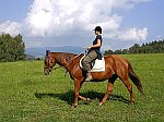 Reiten in die schöne Umgebung von Český Krumlov, Foto: Lubor Mrázek